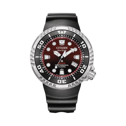 BN1024-01Z - Promaster