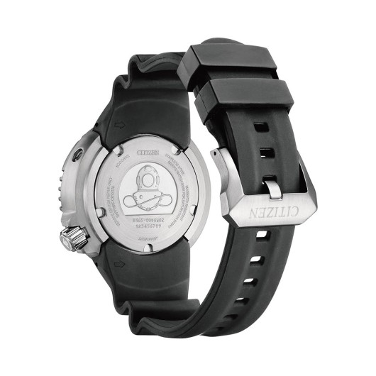 BN1024-01Z - Promaster