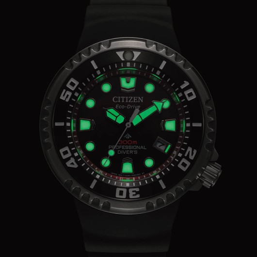 BN1024-01Z - Promaster